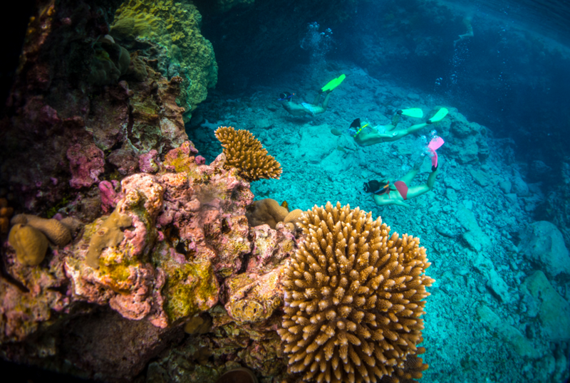 best scuba diving samoa