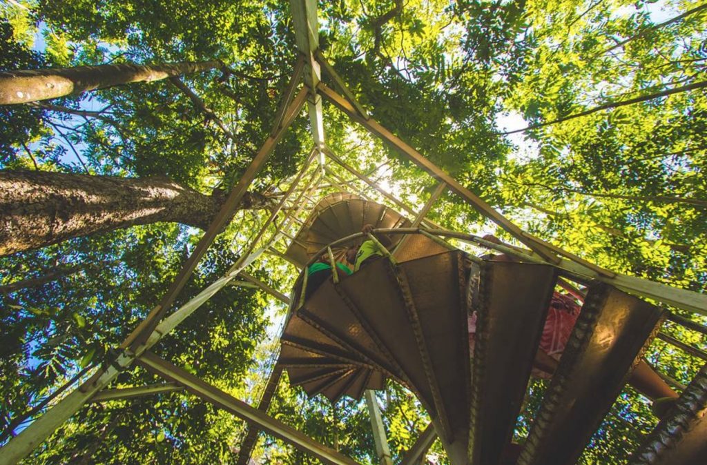 Canopy Walkway Savai'i