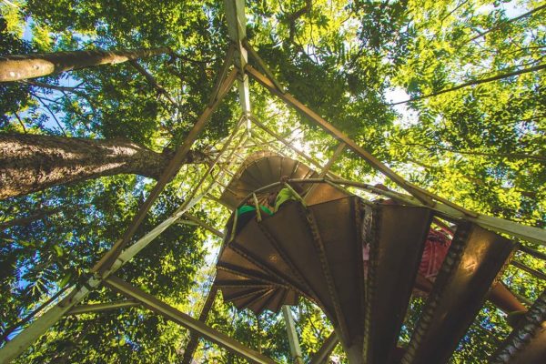 Canopy Walkway Savai'i