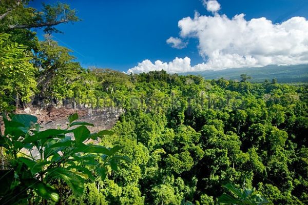 Mount Tafua Crater